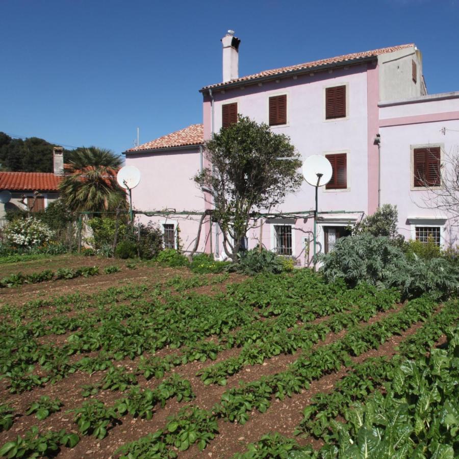 Apartments Anita Veli Lošinj Zewnętrze zdjęcie
